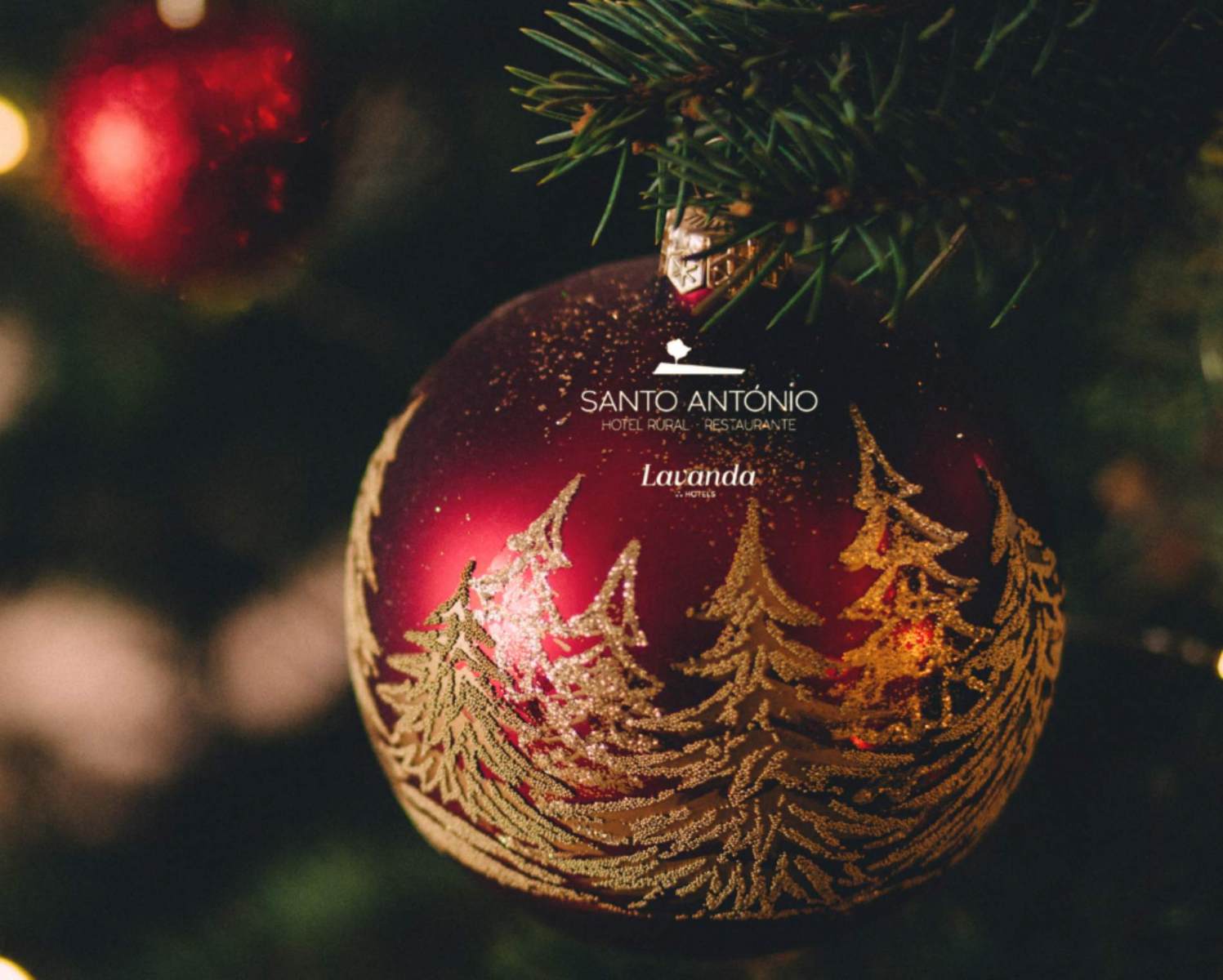 Faça-a-sua-reserva-1